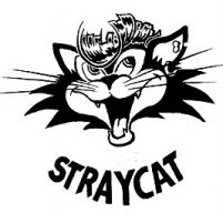 Straycat79